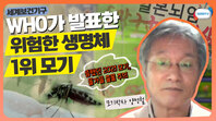 올 여름 사라졌던 모기가 가을모기로 돌아온다?! WHO가 발표한 지구에서 가장 위험한 생명체 1위 모기로부터 안전을 지켜요!ㅣ8월 4주 주간 학교안전통신문