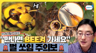 쏘이면 사망에까지 이를 수 있는 무서운 벌!! 바로 지금이 벌의 활동이 가장 왕성한 시기입니다ㅣ9월 1주 주간학교안전통신문(벌 쏘임 예방 및 대처법.mp4)