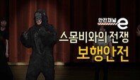 <안전채널e> 15화 - 스몸비와의 전쟁 보행안전(2022)